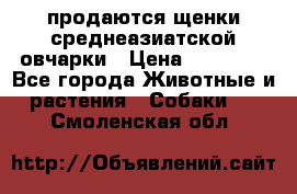 продаются щенки среднеазиатской овчарки › Цена ­ 30 000 - Все города Животные и растения » Собаки   . Смоленская обл.